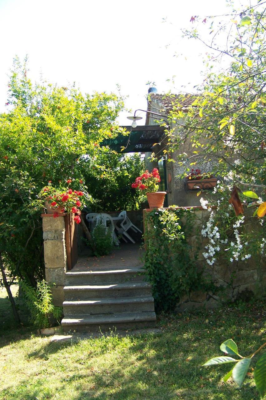 Piccolo Sole Villa Montescudaio Exterior photo