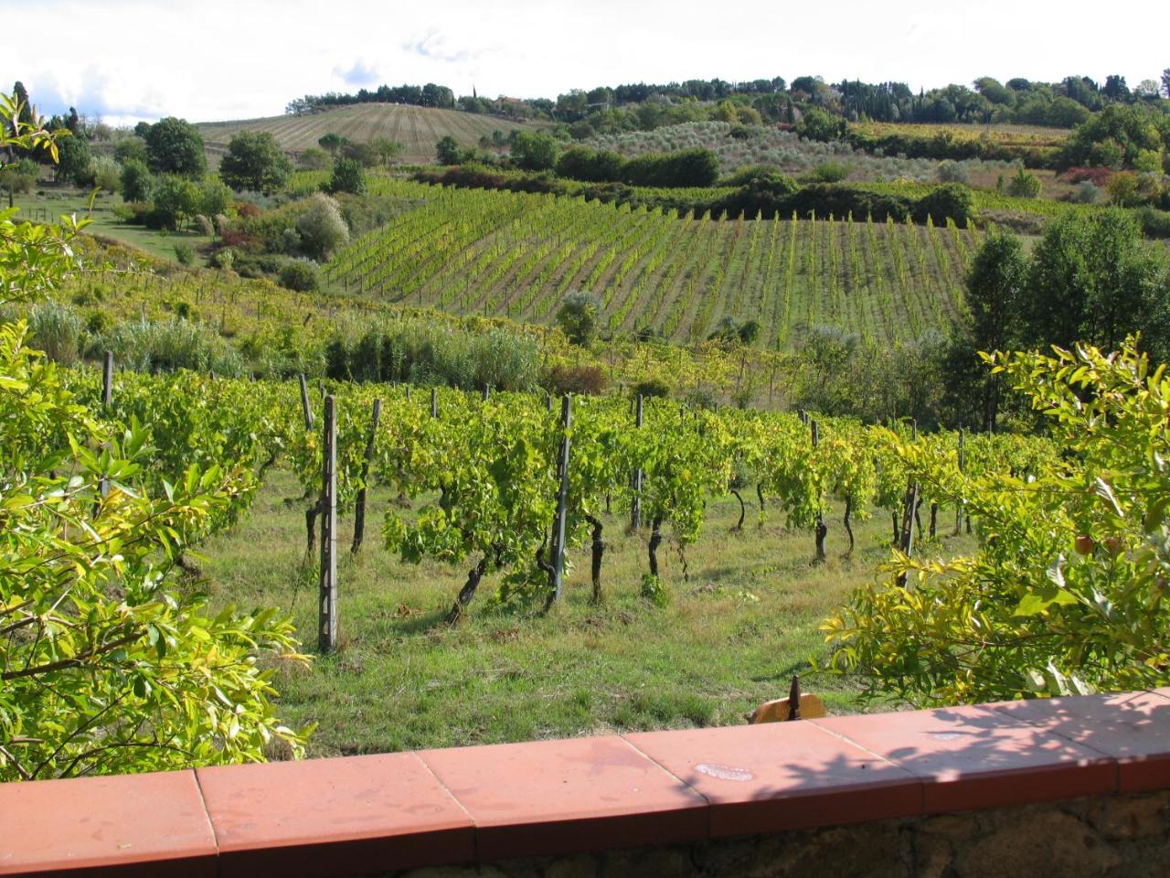 Piccolo Sole Villa Montescudaio Exterior photo